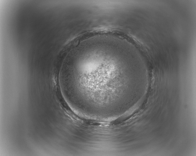 X0000068851206200605051204