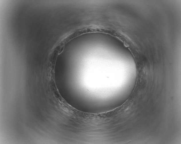 X0000068851207200605051204