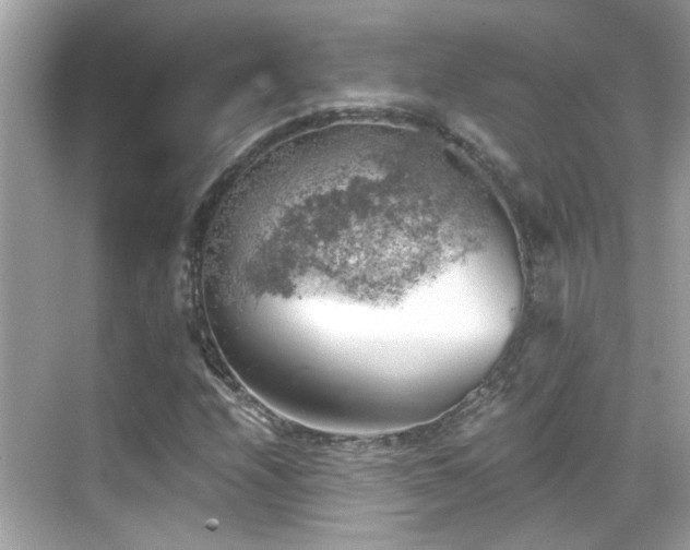 X0000068851208200605051204