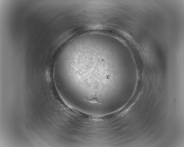 X0000068851209200605051204