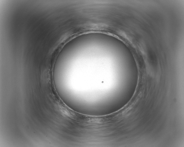 X0000068851211200605051204