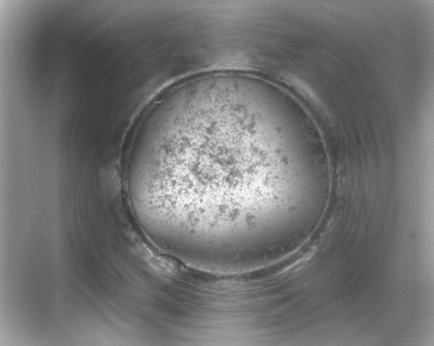 X0000068851212200605051204