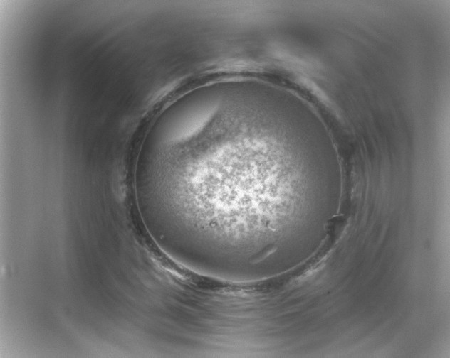 X0000068851213200605051204