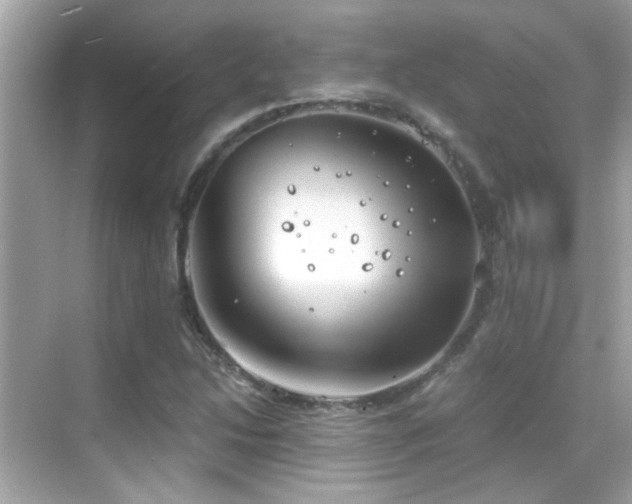 X0000068851214200605051204