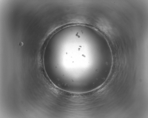 X0000068851215200605051204