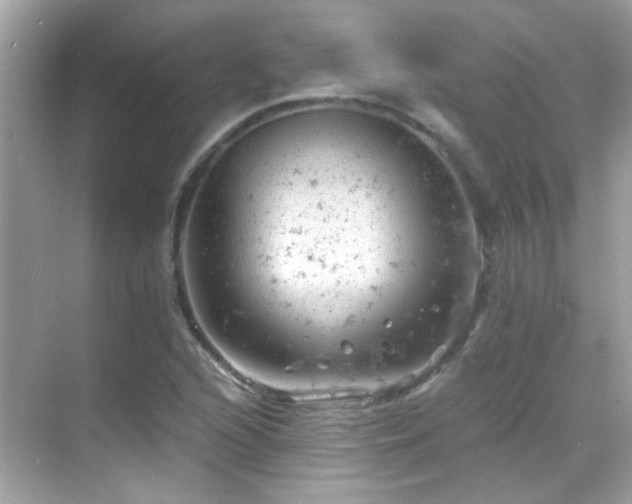 X0000068851216200605051204