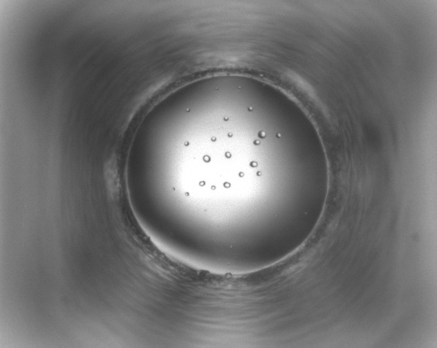 X0000068851218200605051204