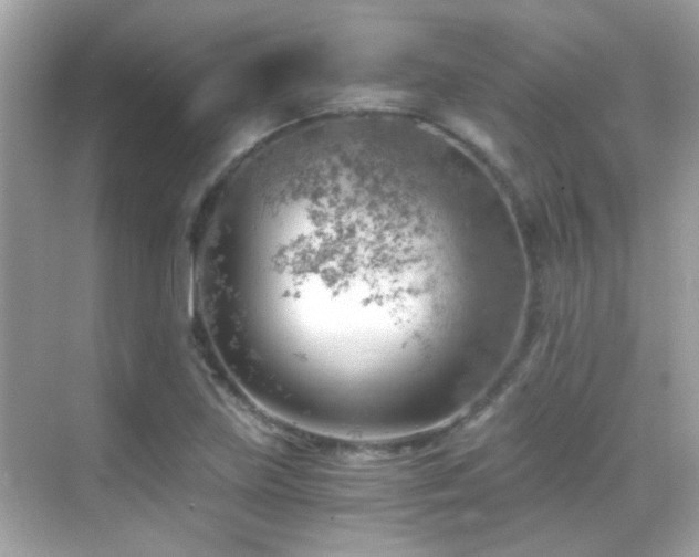 X0000068851219200605051204