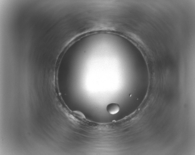 X0000068851220200605051204