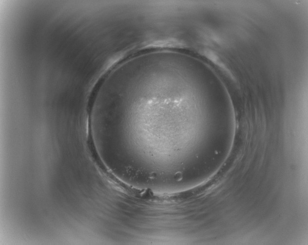 X0000068851221200605051204