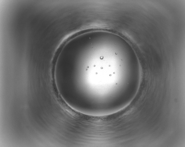 X0000068851222200605051204