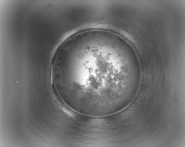 X0000068851223200605051204