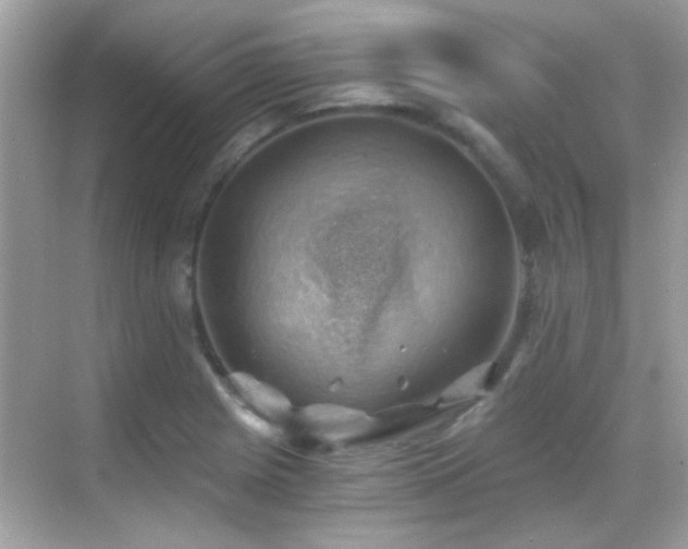 X0000068851225200605051204