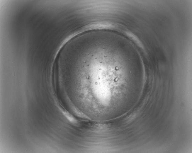 X0000068851226200605051204