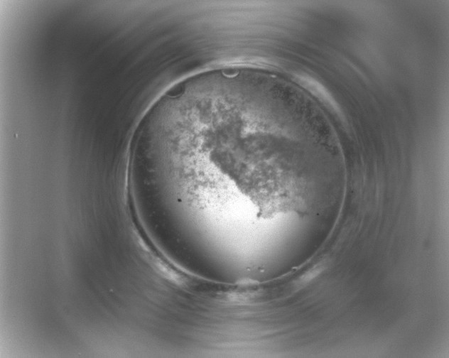 X0000068851228200605051204