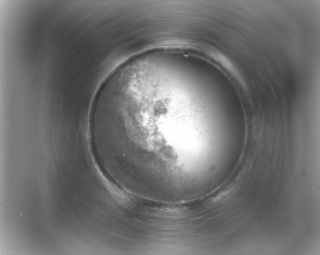 X0000068851229200605051204