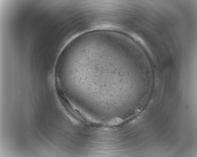 X0000068851230200605051204