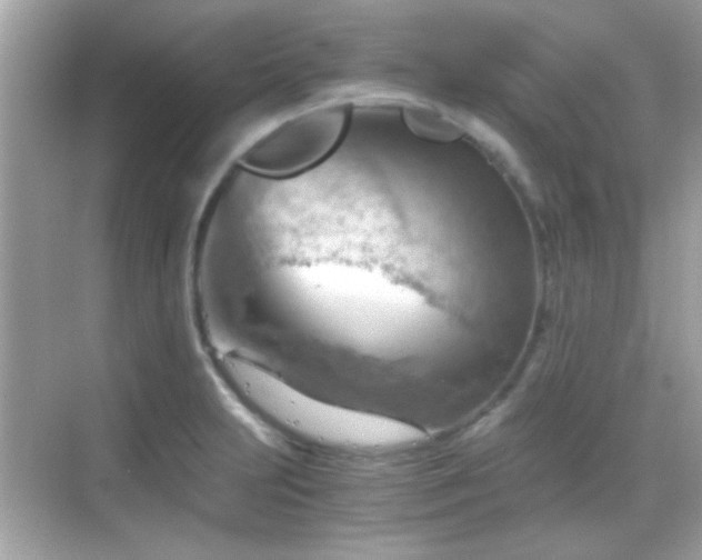 X0000068851231200605051204