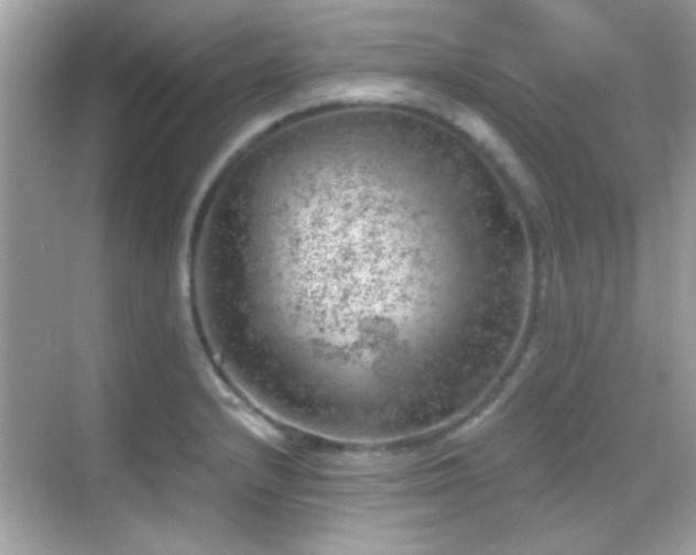 X0000068851232200605051204