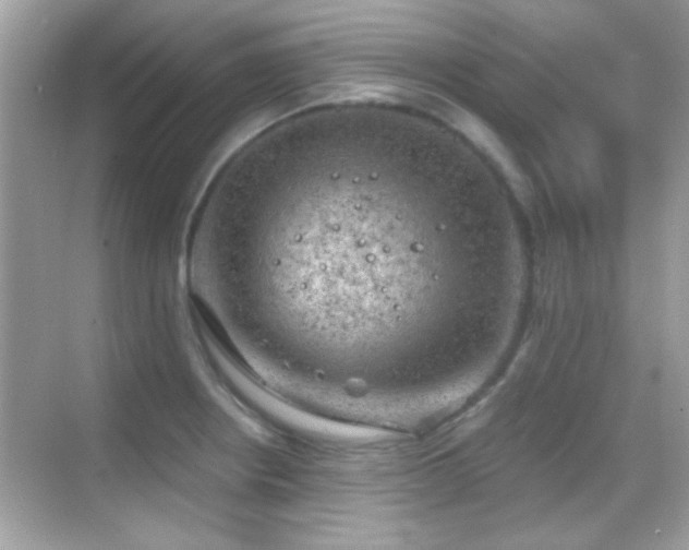 X0000068851234200605051204