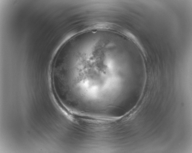 X0000068851235200605051204