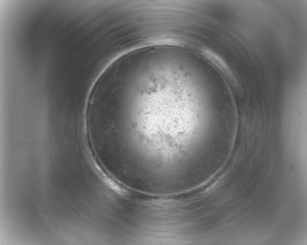 X0000068851236200605051204