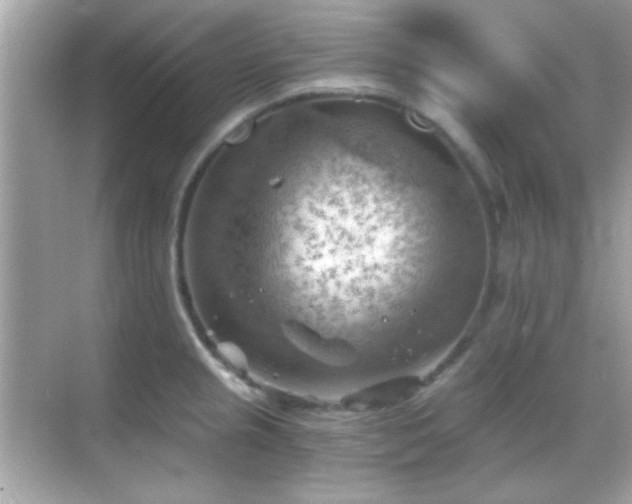 X0000068851237200605051204