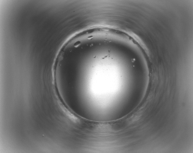 X0000068851238200605051204