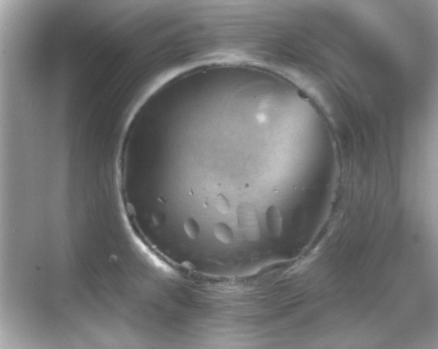 X0000068851239200605051204