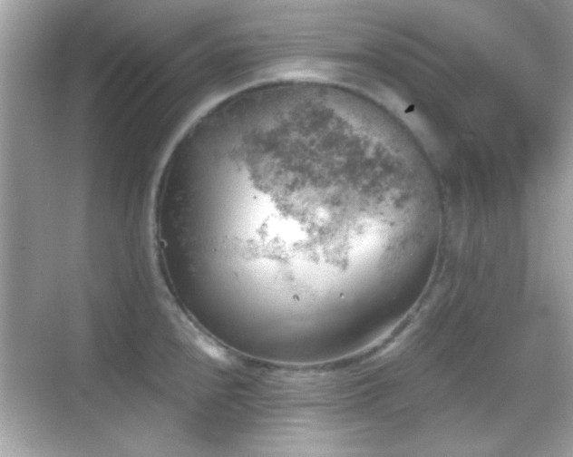 X0000068851240200605051204