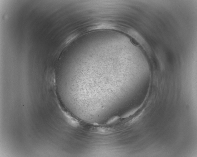 X0000068851241200605051204