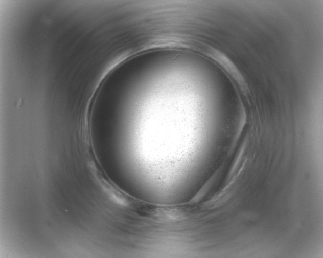 X0000068851242200605051204