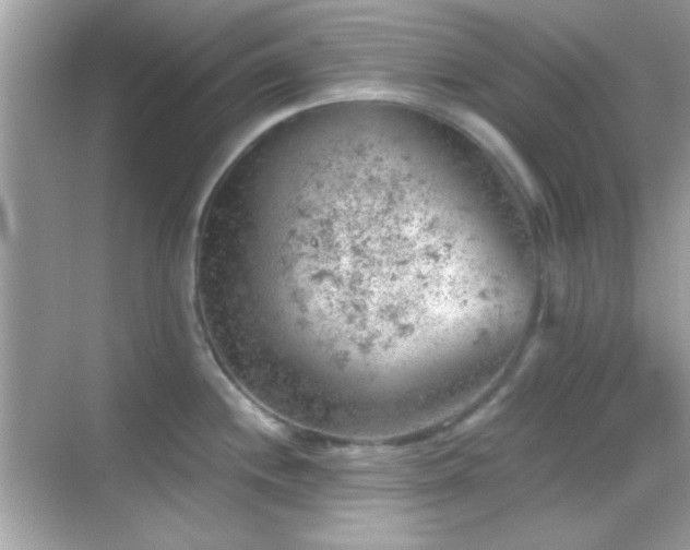 X0000068851244200605051204