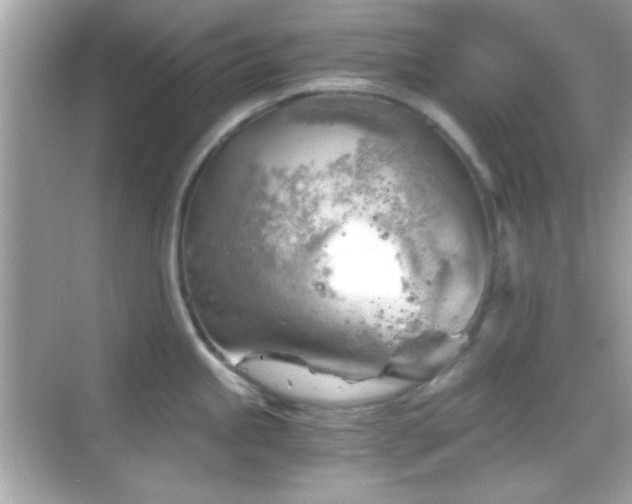 X0000068851245200605051204