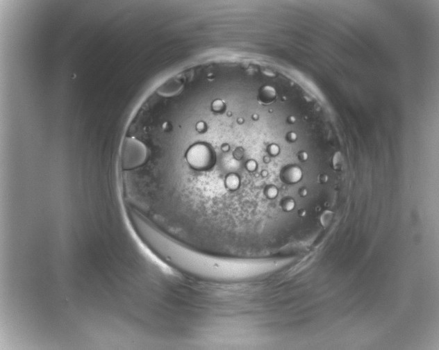 X0000068851247200605051204