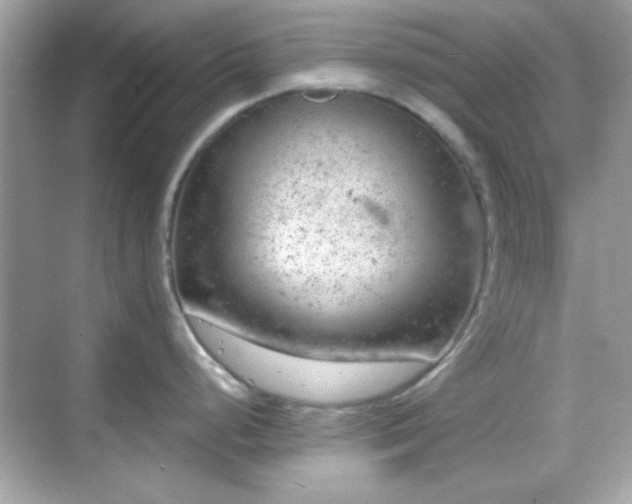 X0000068851248200605051204