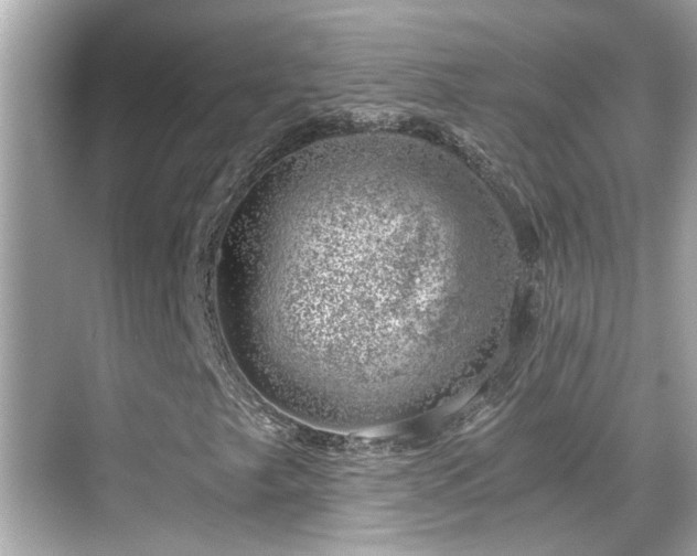 X0000068851249200605051203