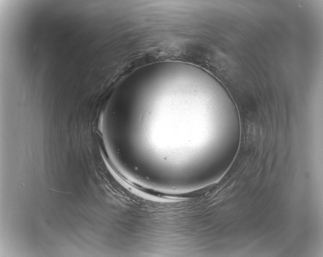 X0000068851250200605051203