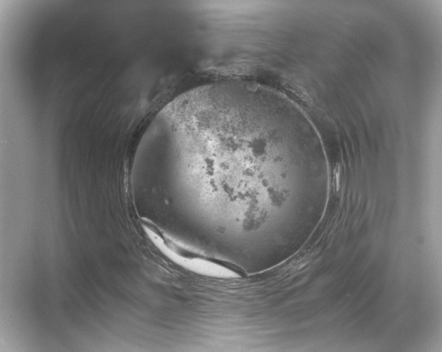 X0000068851251200605051203