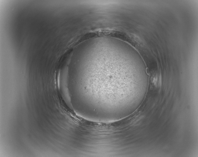 X0000068851252200605051203