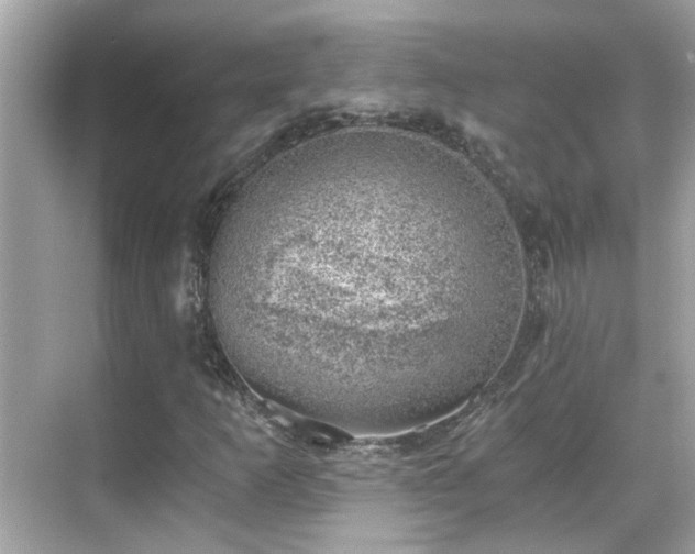 X0000068851253200605051203