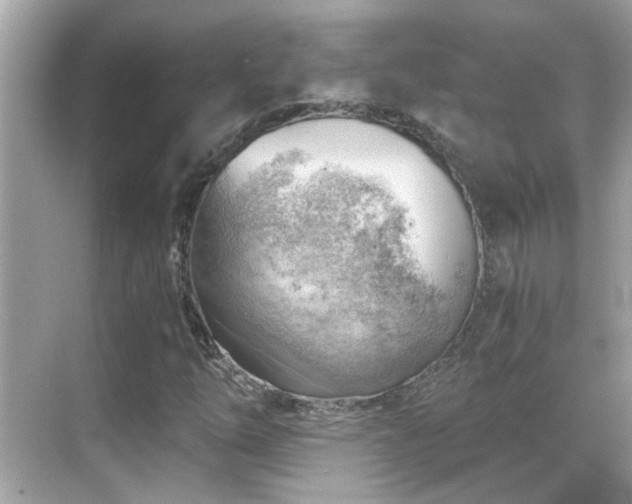 X0000068851254200605051203