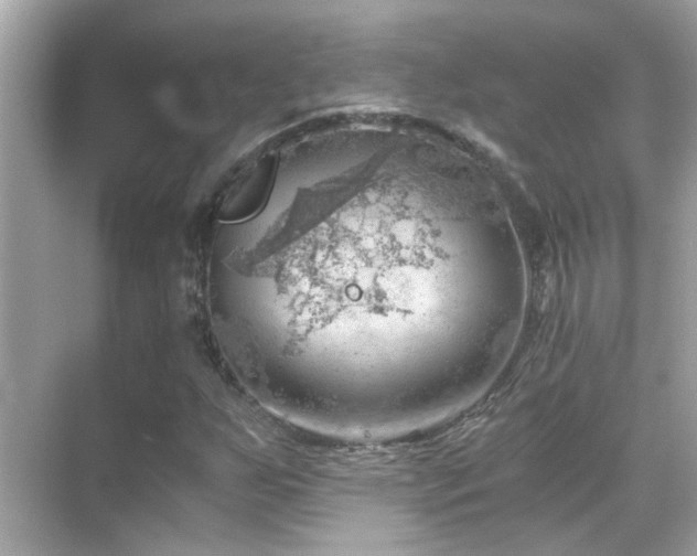 X0000068851255200605051203