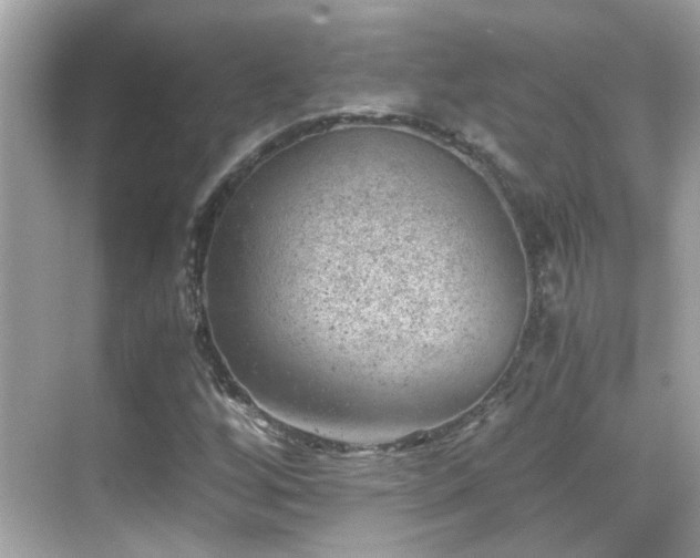 X0000068851256200605051203