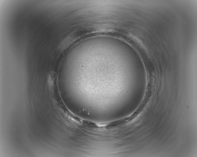 X0000068851257200605051203