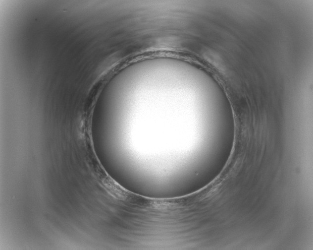 X0000068851258200605051203