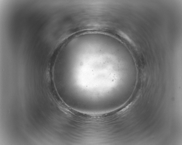 X0000068851259200605051203