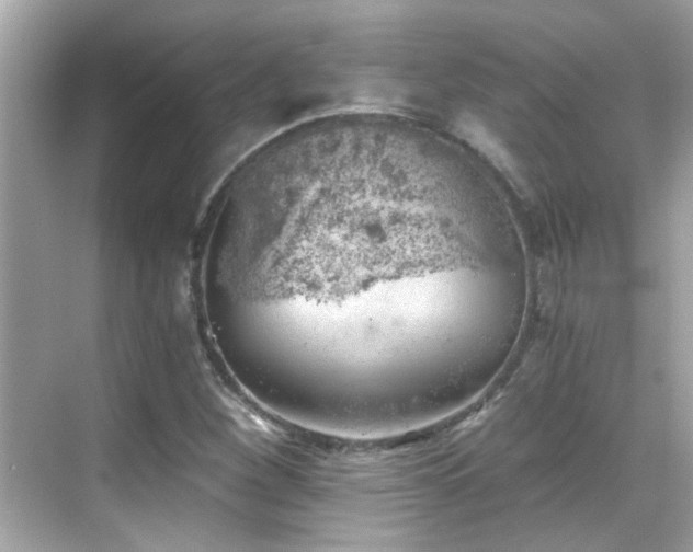 X0000068851260200605051203