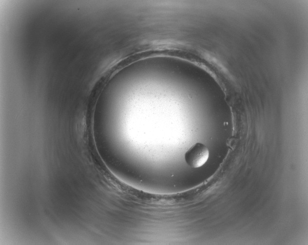 X0000068851261200605051203