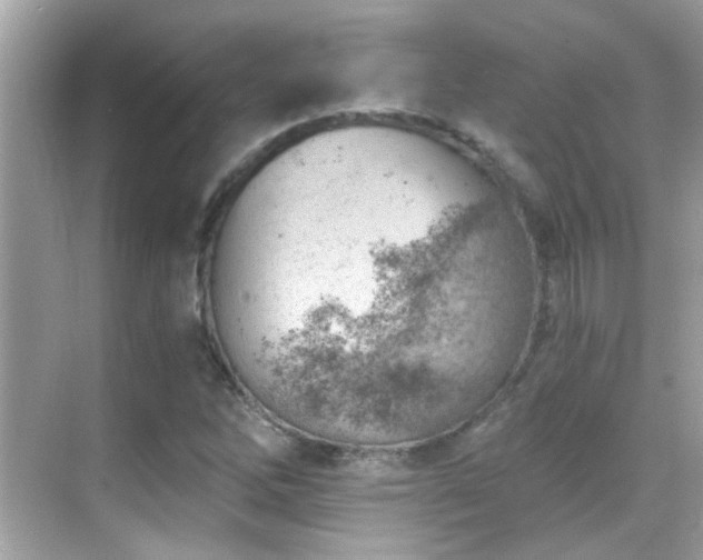 X0000068851262200605051203